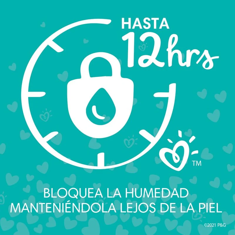 Imagen del producto 10